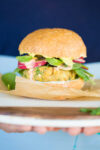 again flavored vegan hamburger