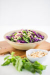 Asian Red cabbage salad