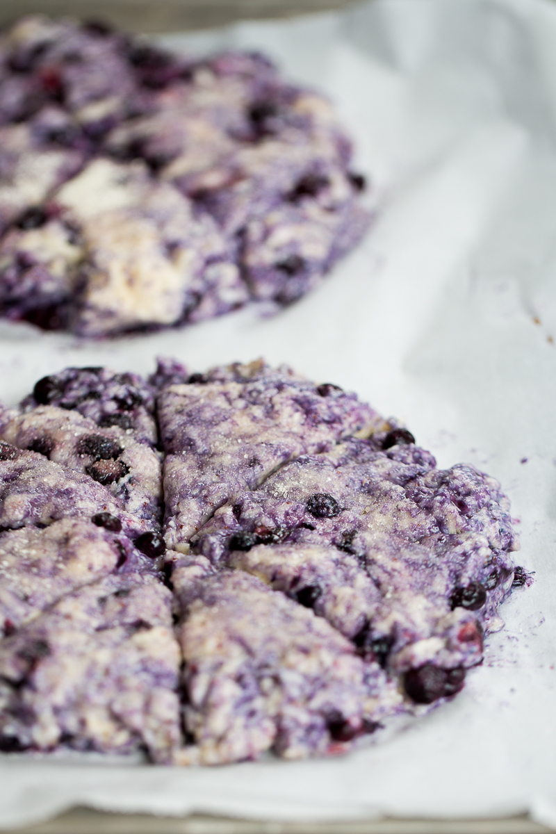 Scones de blueberries