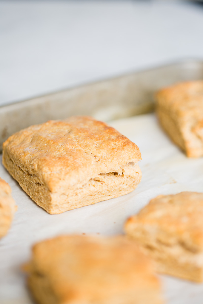 biscuits-4-of-5