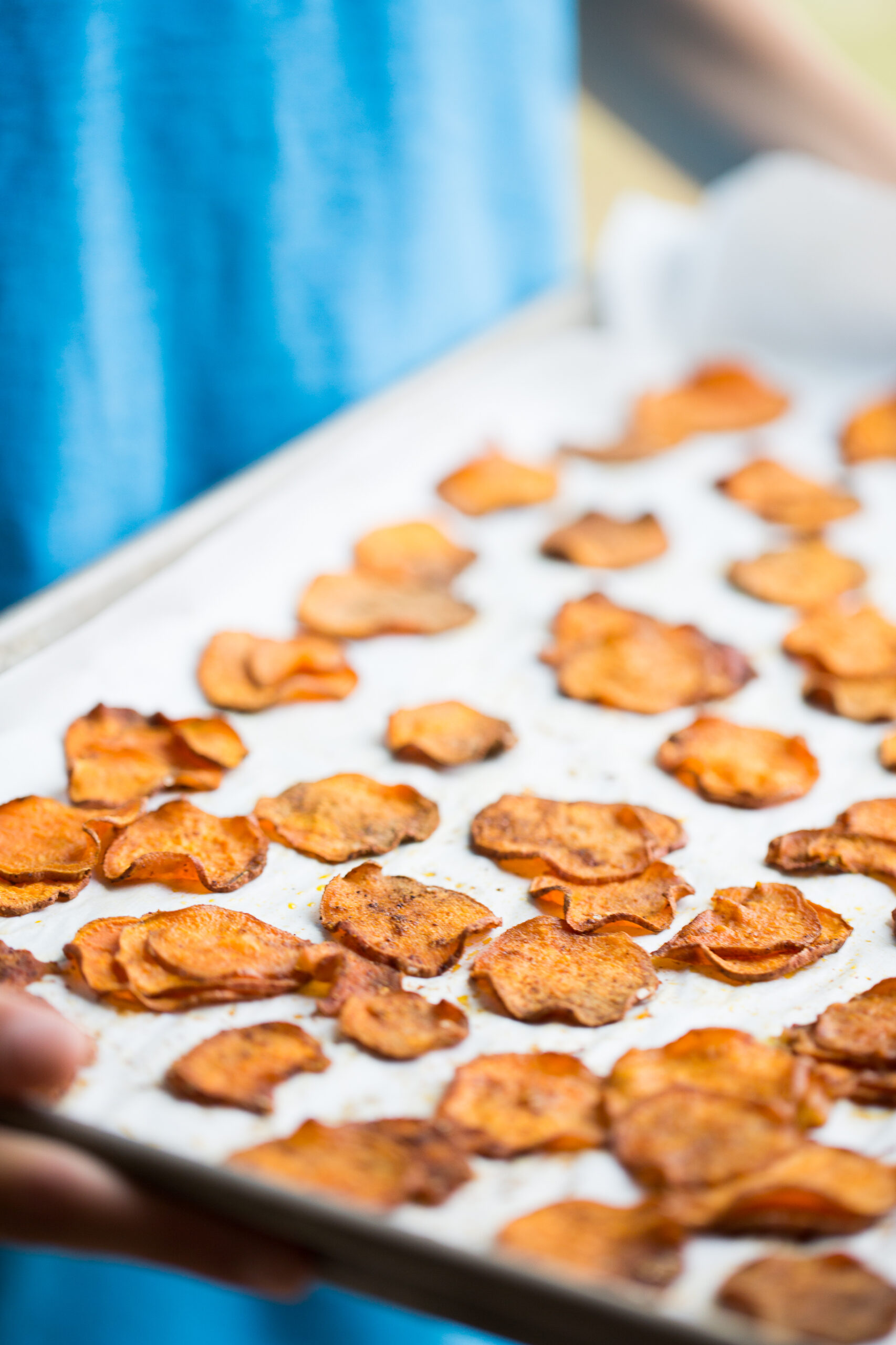 Just out of the oven sweet potato chips baked chips on a tray.