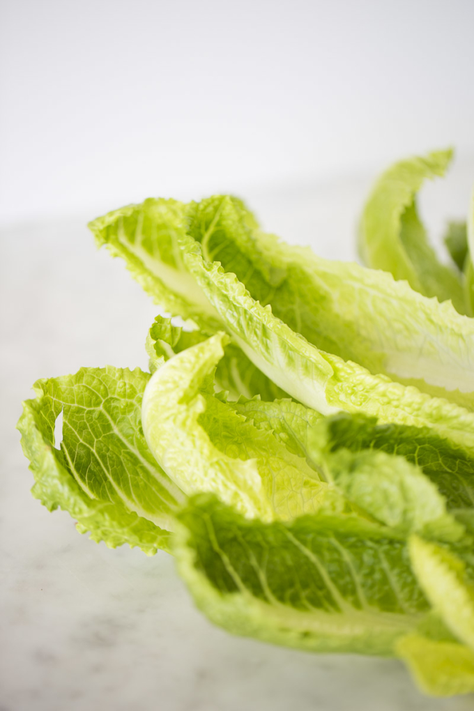 romaine lettuce