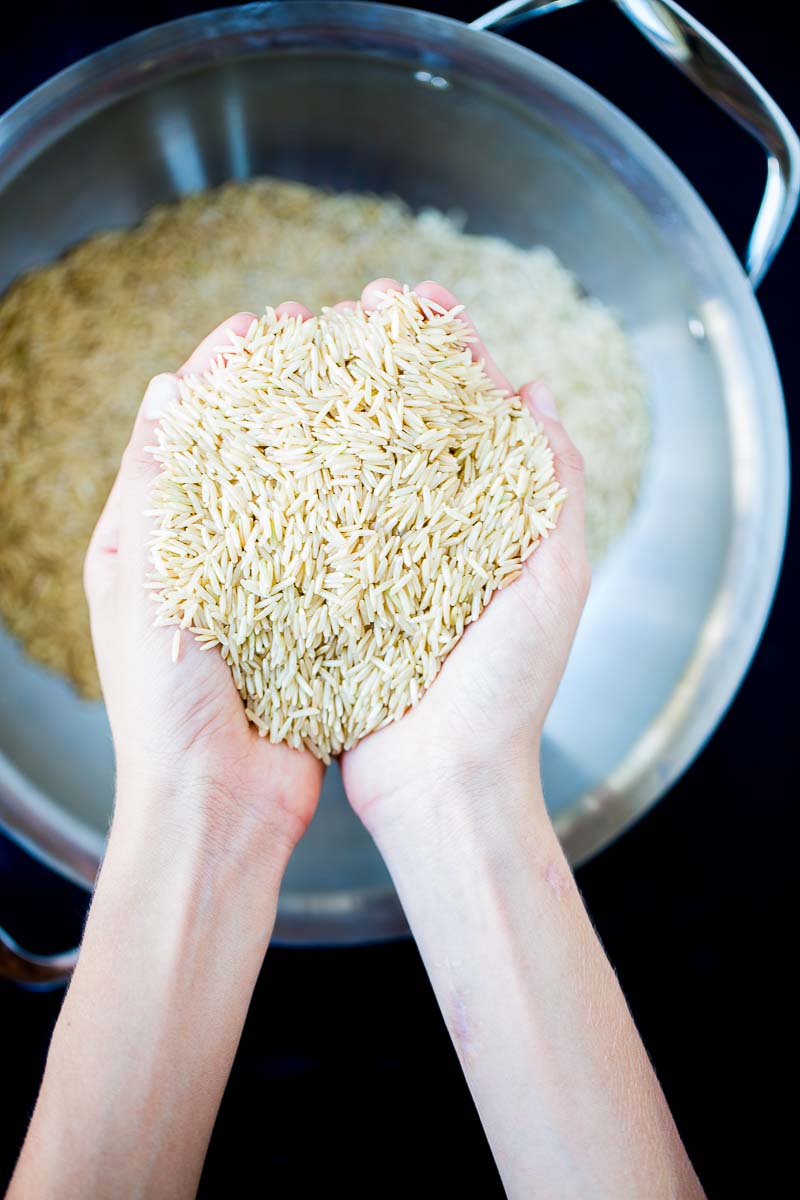 two hand holding dry brown rice