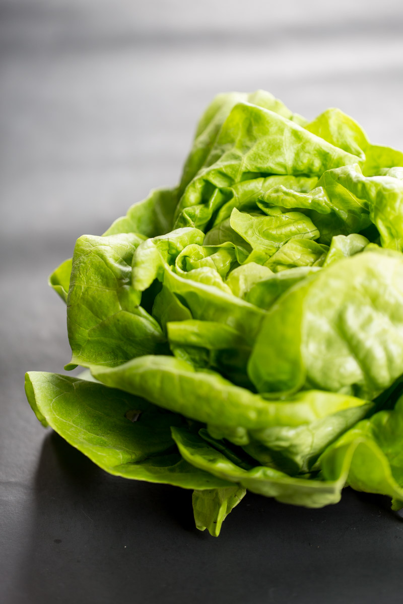 A head of butter lettuce