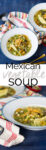 Mexican vegetable soup