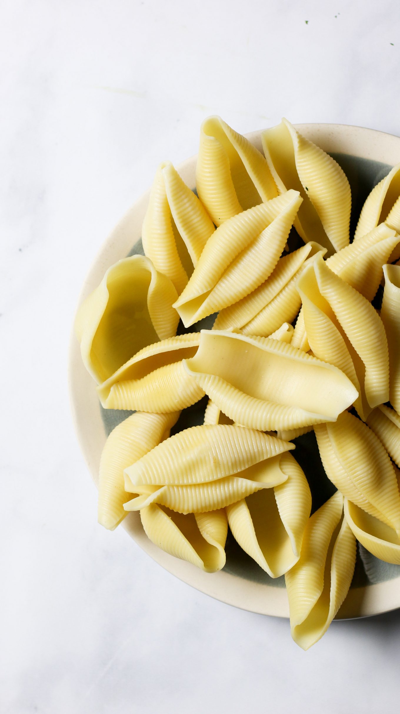 Jumbo pasta shells