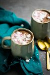 How to make vegan hot chocolate at home?