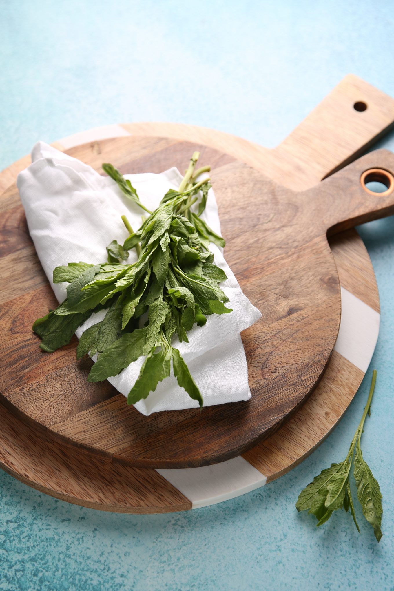 Espazote, mexican herb on a kitchen towel