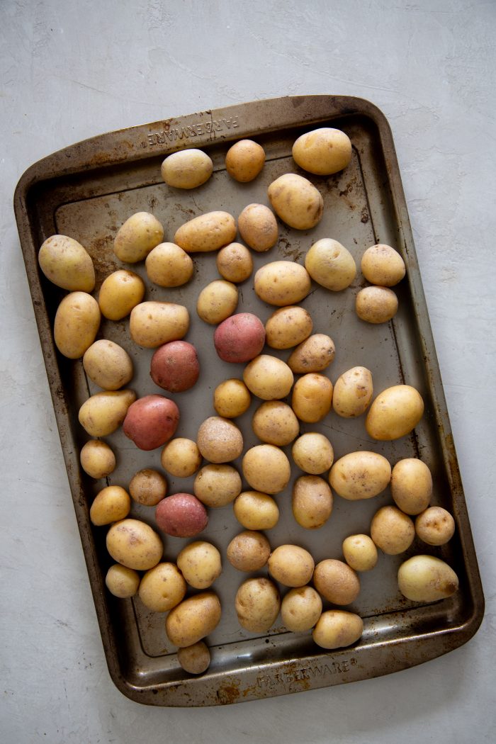 roasted vegetables
